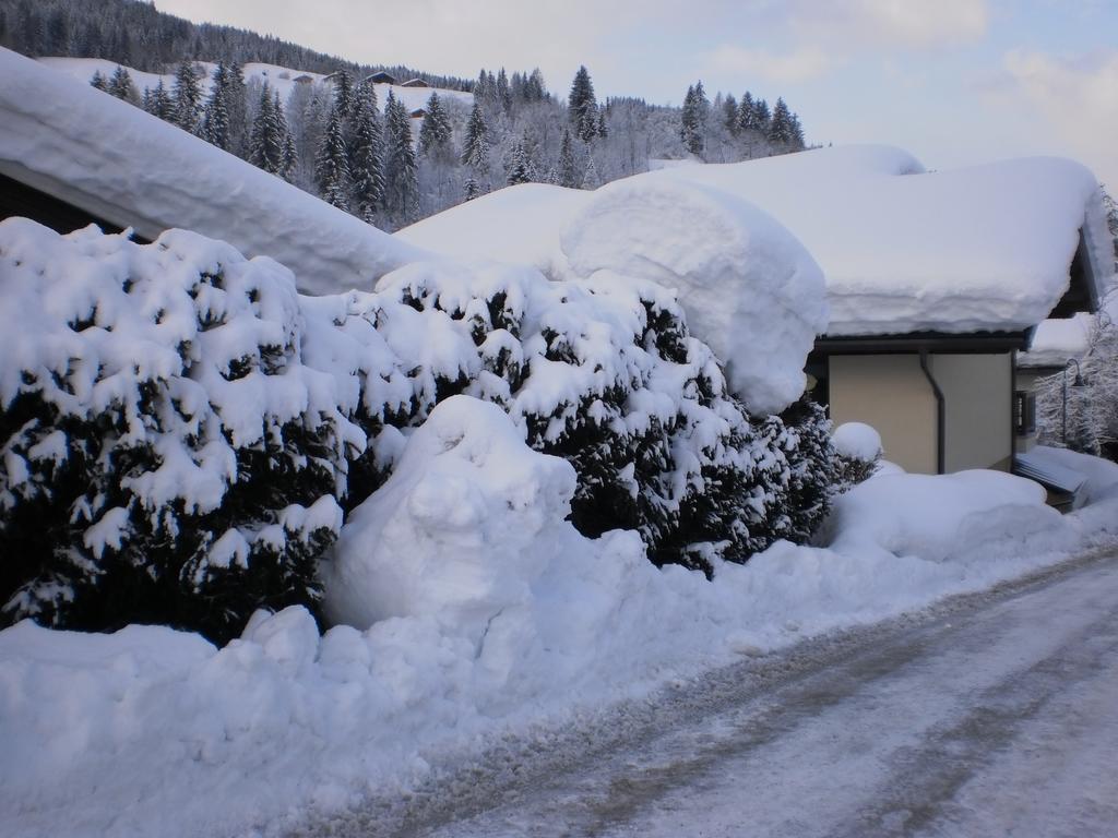 Haus Schoenleiten Wagrain Kültér fotó