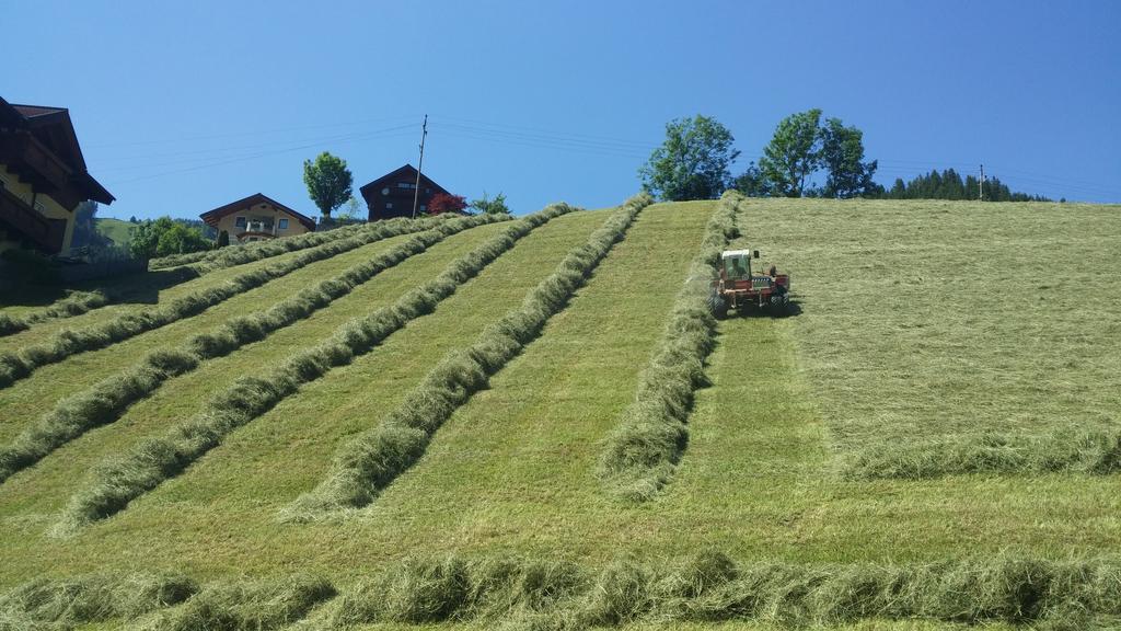 Haus Schoenleiten Wagrain Kültér fotó