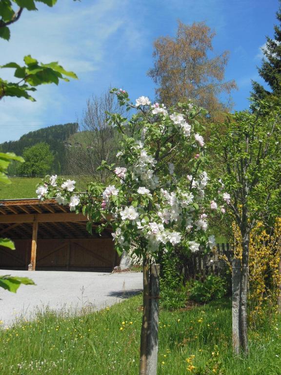 Haus Schoenleiten Wagrain Kültér fotó